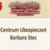festyn 2023 prezentacja 43